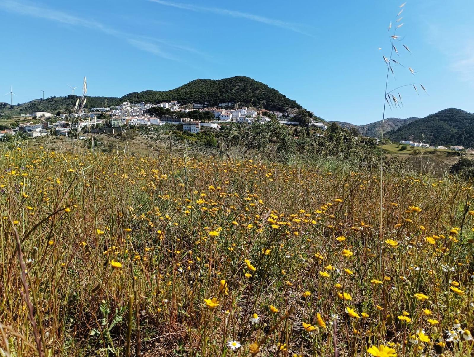 Complejo Rural Alcornoquillos